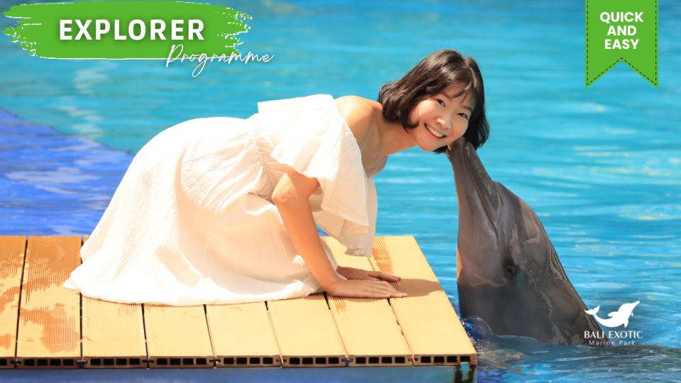 Bali Dolphin: Explorer Pass "Meet Dolphins with Afternoon Tea"