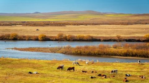 Shiwei Boundary River Cruise