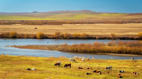 Shiwei Boundary River Cruise