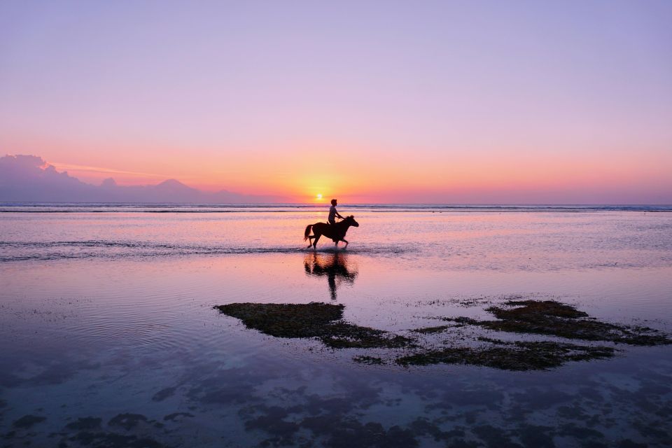 Gilli Tours Packages