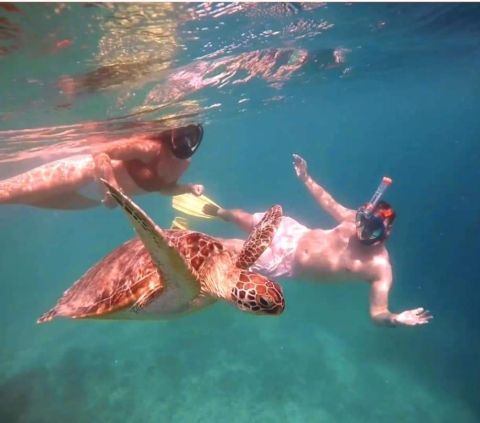 Snorkling tour in gili air island Lombok