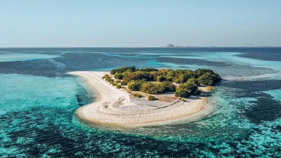 One Day Komodo Island Hopping Trip with Speed Boat