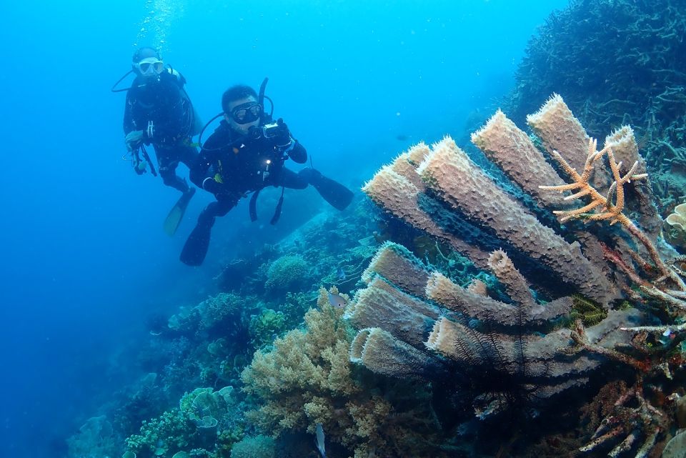 Diving Package
