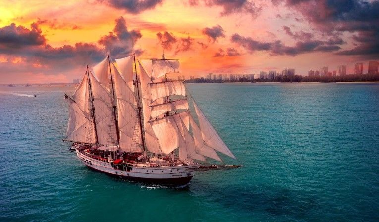 Royal Albatross Sunset Dinner Cruise