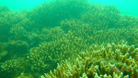 Secret Island Hopping Tour Ciletuh