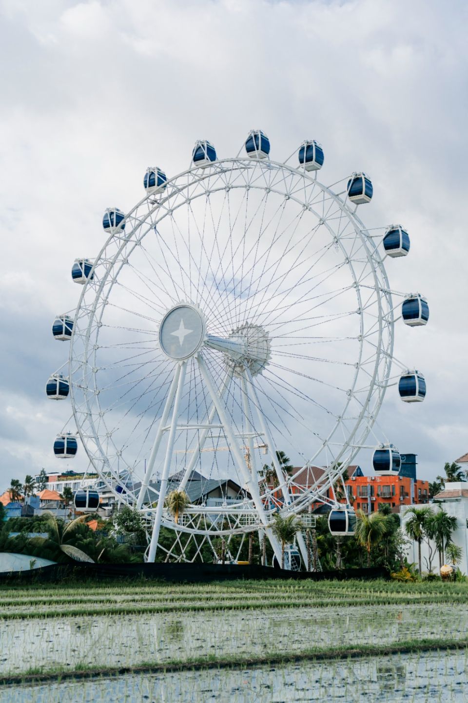 The Wheel Bali