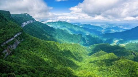 Chongqing Jinfo Mountain: Exploring Ancient Forests and Rare Plants