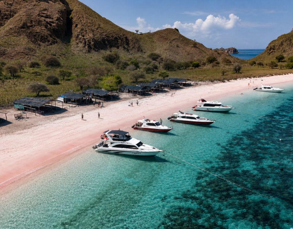Komodo National Park Full Day Speedboat Tour