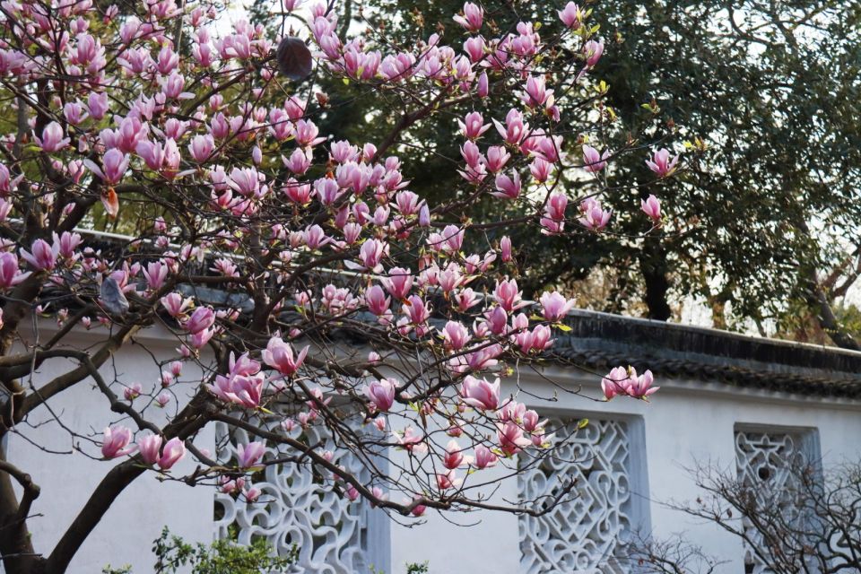Humble Administrator's Garden (Zhuozheng Garden) Admission Ticket Adult (Non-Mainland Chinese Residents)