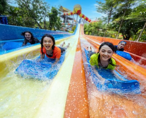 Atlantis Water Adventures at Ancol
