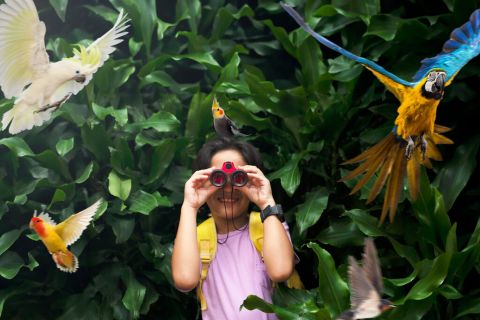 Jakarta Bird Land Ancol