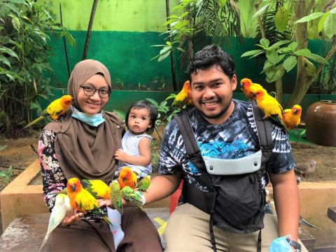 Langkawi WildLife Park