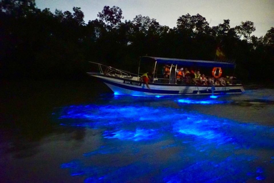 Kuala Selangor Fireflies and Blue Tears Tour with Dinner (Guided Tour)