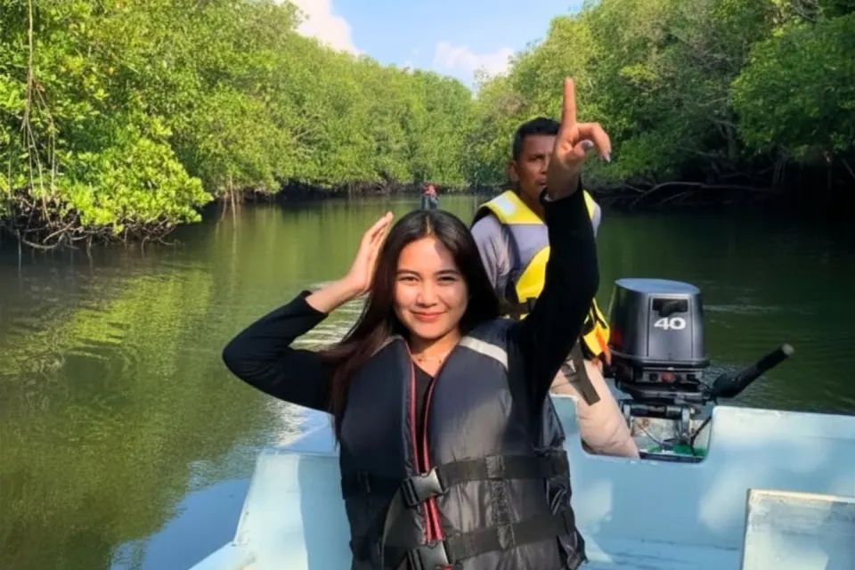 Mangrove or Fireflies Tour in Bintan