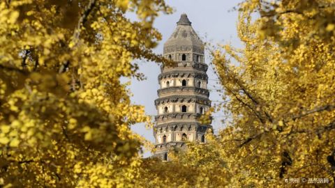 A one-day tour of Suzhou city highlights | Humble Administrator's Garden, Tiger Hill, Lion Grove Garden, Hanshan Temple