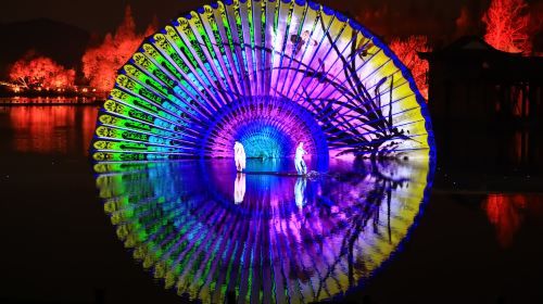 Enduring Memories of Hangzhou Show