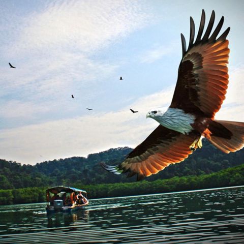 Langkawi Island Hopping