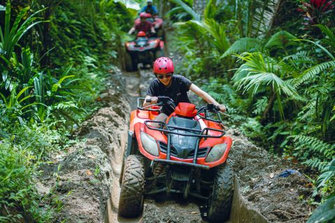 Ubud ATV Quad Bike through Real Jungle, River, Puddles & Rice Fields