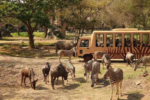 Bali Safari for Non-Indonesian ID Holder