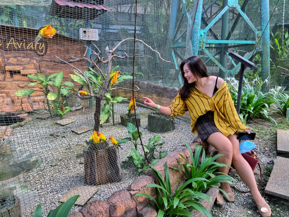 KL Bird Park Admission Ticket With One Way Transfer