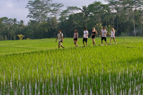 Tropical Trekking