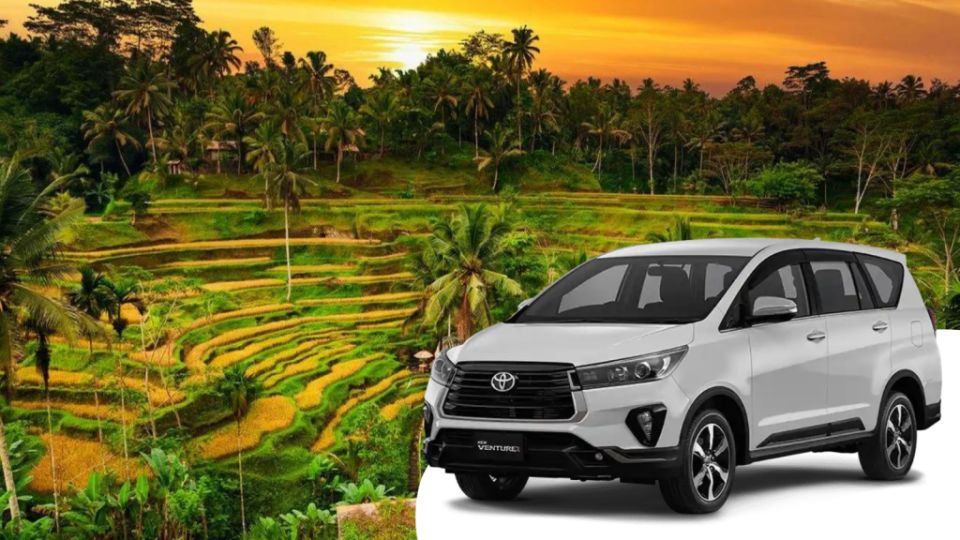 Central Bali Custom Tour (Ubud Tour)