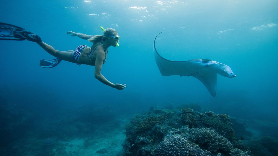 Manta Ray Snorkeling Nusa Penida – Swim with Ocean Giants by Manta Ray Snorkeling