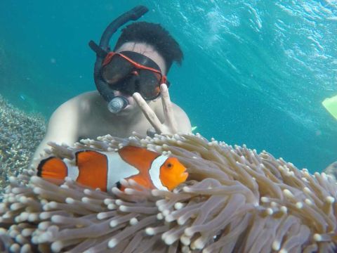 Open Trip Ujung Kulon – Banten (3 Days 2 Nights)