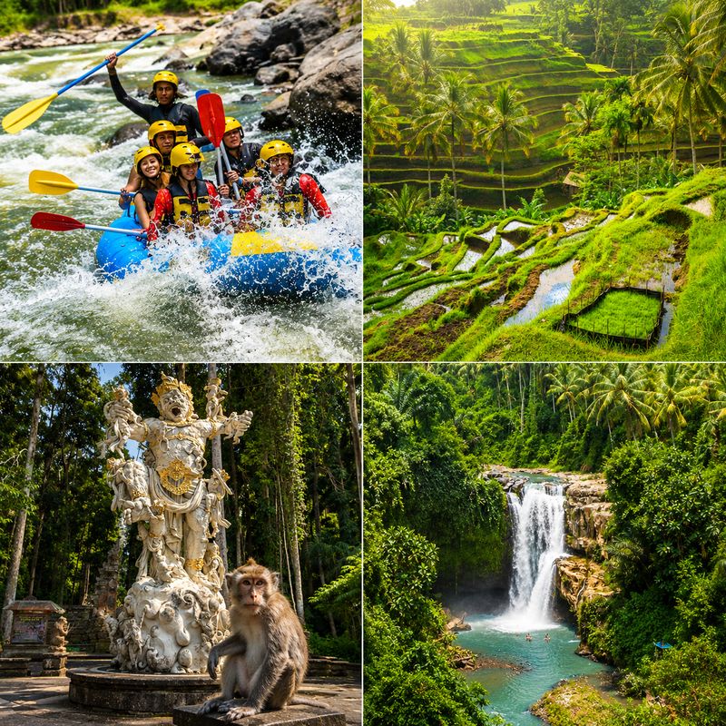 Ubud Highlight and Rafting Adventure Package