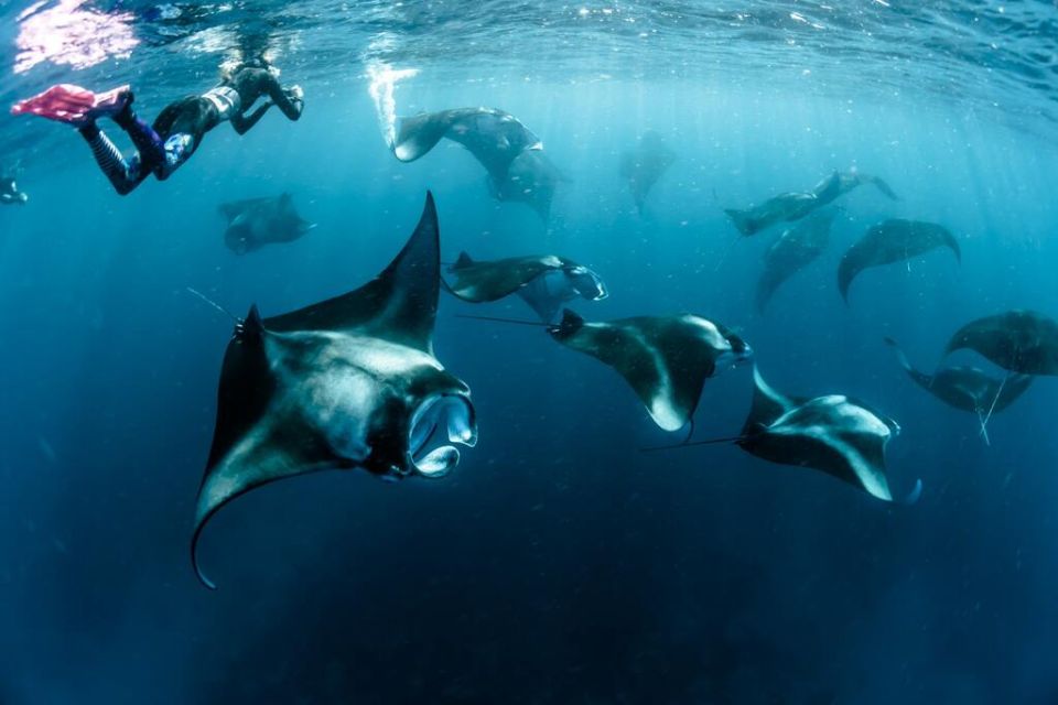 Private Trip Derawan 4 Days 3 Nights – via Tanjung Batu