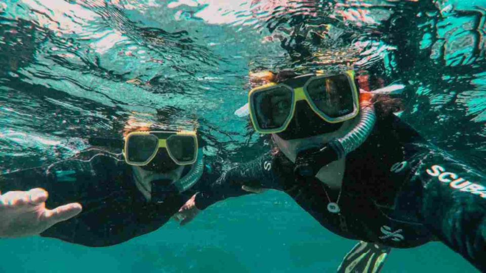 Diving & Snorkeling Packages