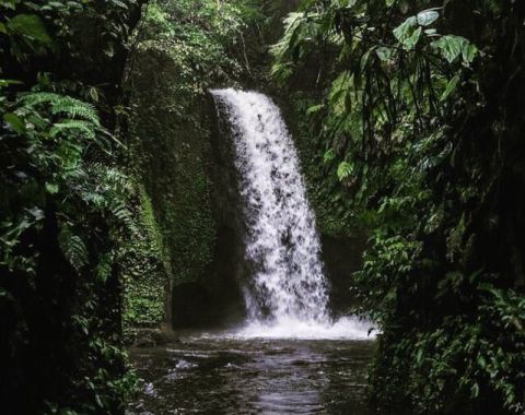 Ubud: Waterfalls, Water Temple & Rice Terraces Private Tour