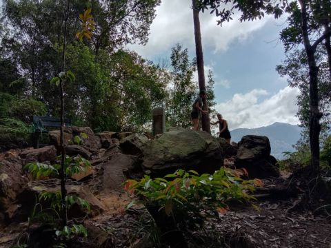 Taman Negara National Park Trekking Day trip (SIC - Join In Tour)