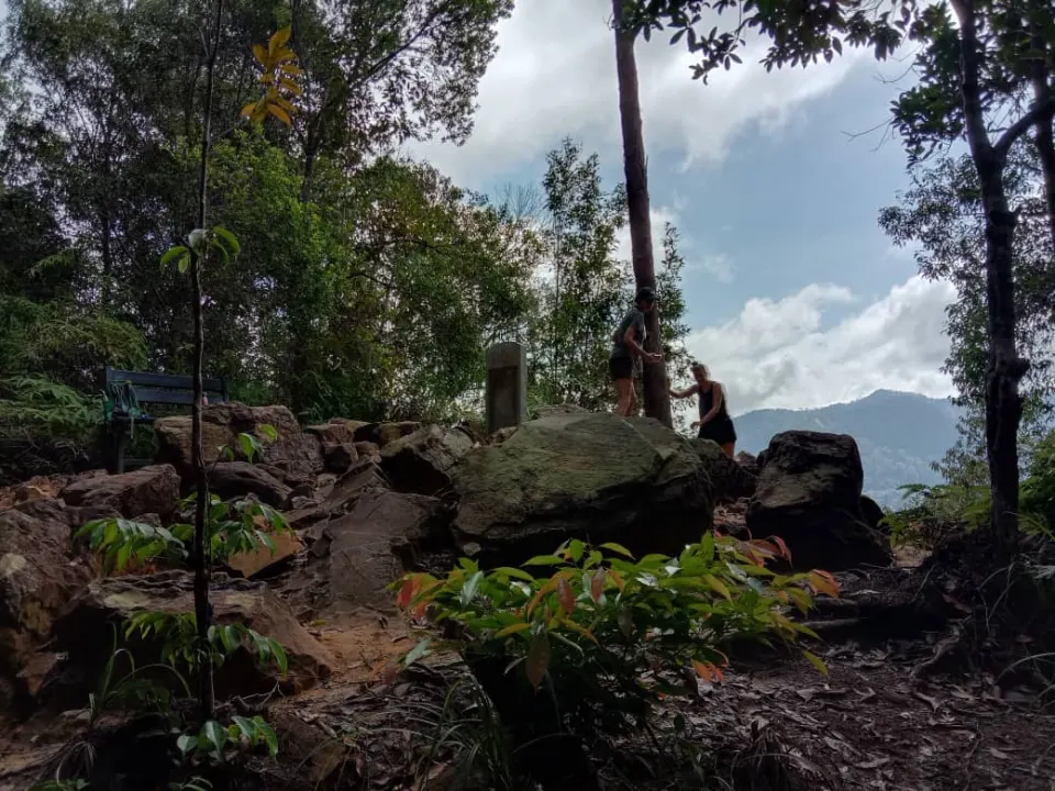 Taman Negara National Park Trekking Day trip (SIC - Join In Tour)