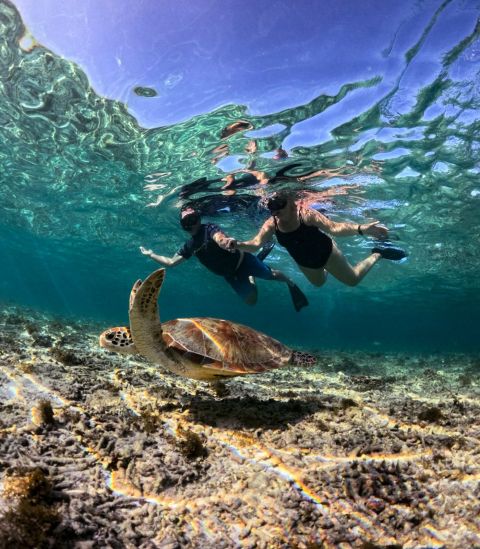 From Lombok : Private Snorkeling Gili Trawangan, Gili Meno & Gili Air