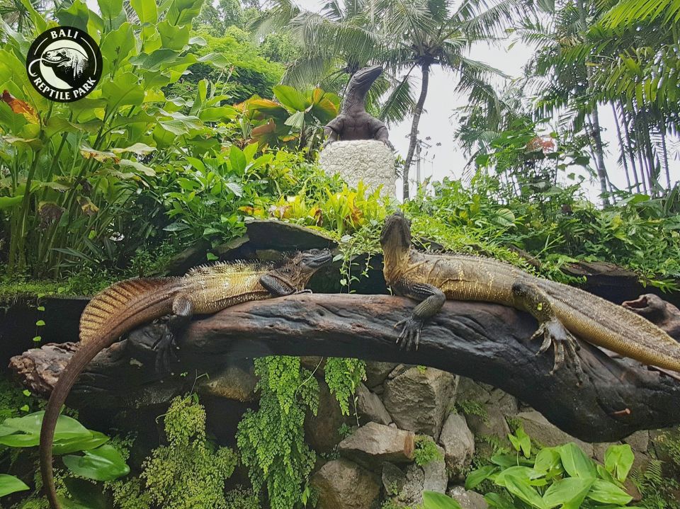 Bali Reptile Park