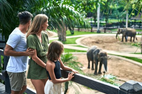 Elephant Park Visit Tour
