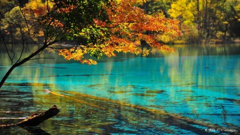 Jiuzhaigou Scenic Area Entrance Ticket + Sightseeing Bus
