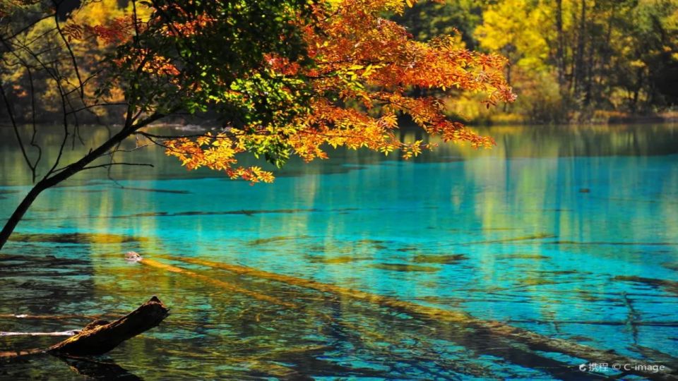 Jiuzhaigou Scenic Area Entrance Ticket + Sightseeing Bus