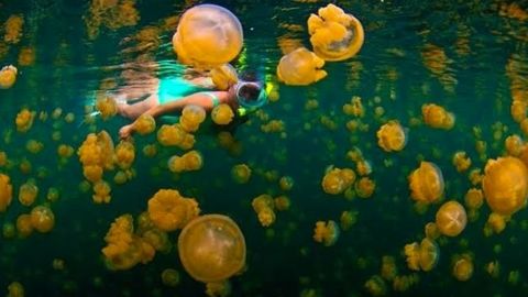 Private Trip Derawan 4 Days 3 Nights – via Tarakan