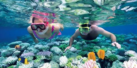 Nusa Penida : Sharing Snorkeling Adventure in Nusa Penida to 4 Spots