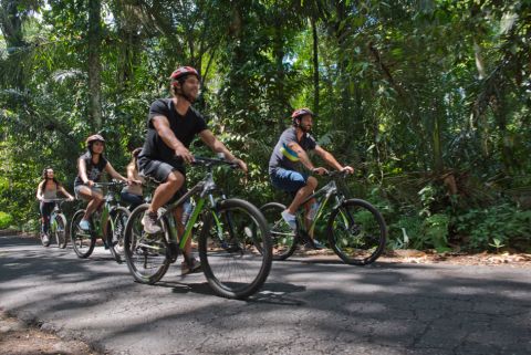 Mountain Cycling