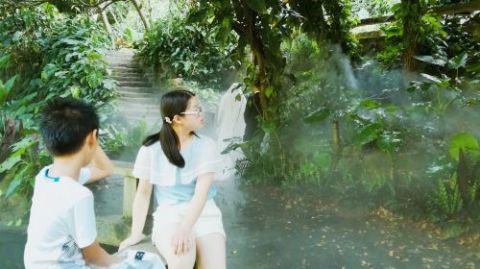 Gulangyu Island in Xiamen with Chinese and English tour guide explanation｜Independent group customization｜Word-of-mouth service｜Select attractions for free travel｜Buy ferry tickets on behalf of others
