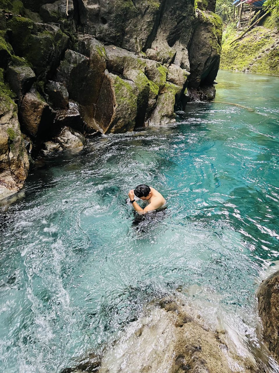 Tangkahan-Bukit Lawang 4D3N Exclusive Private Trip