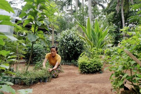 Tour Kebun Kumara by Campa