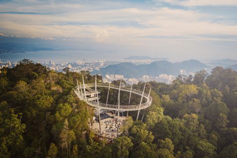 Penang Habitat
