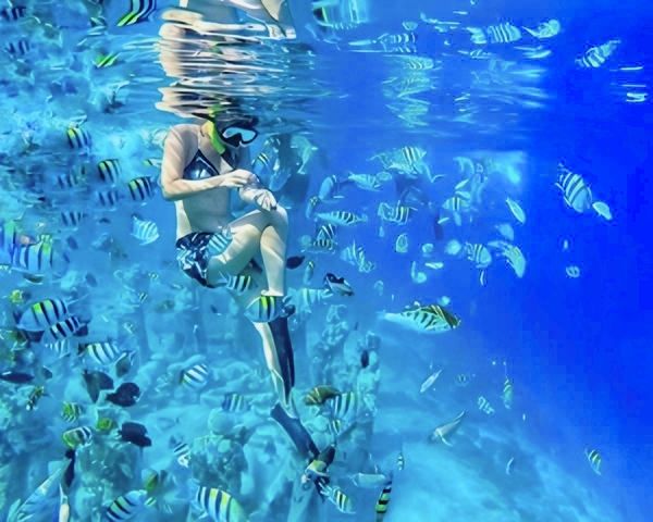 Half-Day Private Guided Snorkeling Tour in Gili Islands Lombok