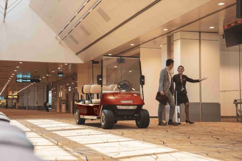 Quayside - VIP Meet & Greet (with Buggy, Private Immigration & Lounge Access)